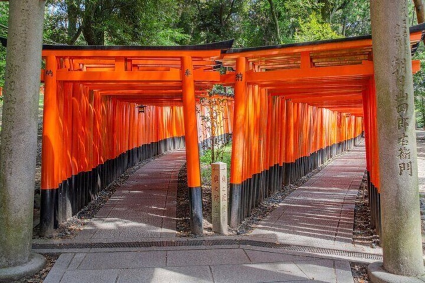 Arashiyama Sagano Romantic Train,Fushimi Inari Taisha & Nara Park