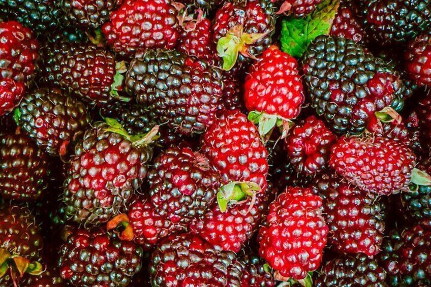 Paloquemao Fruit Tour