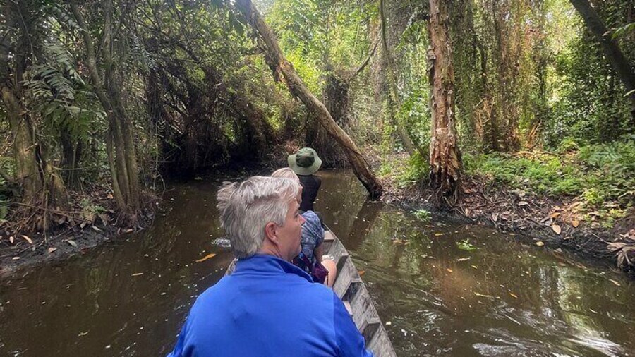 Private Mekong Delta Tour: Cai Be Village and Cajuput Forest