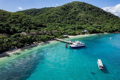 Halve dag Fitzroy Island retour veerboot – vertrek 8 uur