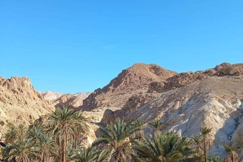 From Djerba Two Day Safari Tour to Tozeur. 
