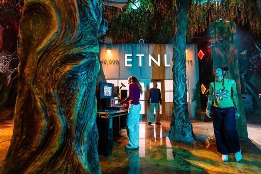Meow Wolf's Radio Tave