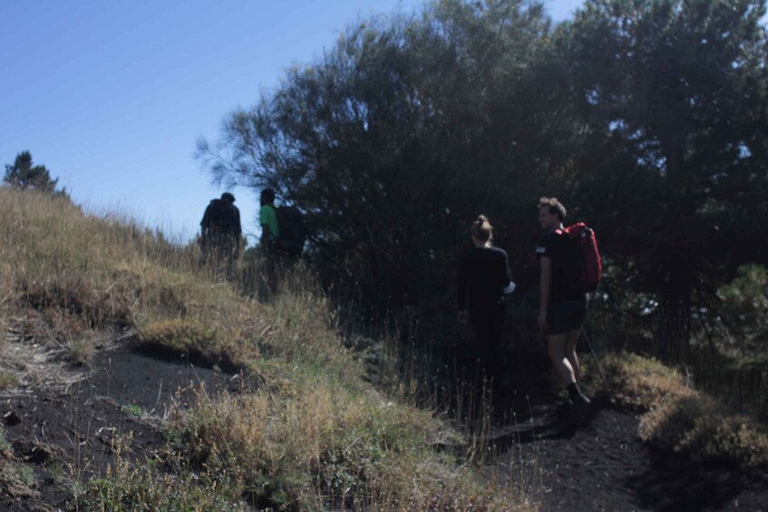 Picture 2 for Activity From Catania: Mount Etna Guided Panoramic Trek