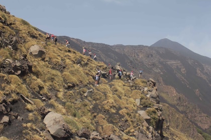 From Catania: Mount Etna Guided Panoramic Trek