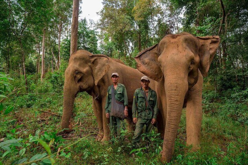 2 Days 1 Night Elephant and Nam Pouy National Tour