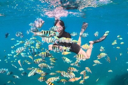 Gili Nanggu, Kedis & Sudak Boat Trip ( Full Day + Snorkelling )