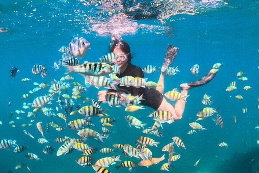 Snorkeling gili Nanggu