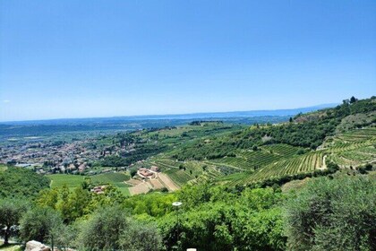 Een zondag van Amarone Een halve dag wijntour