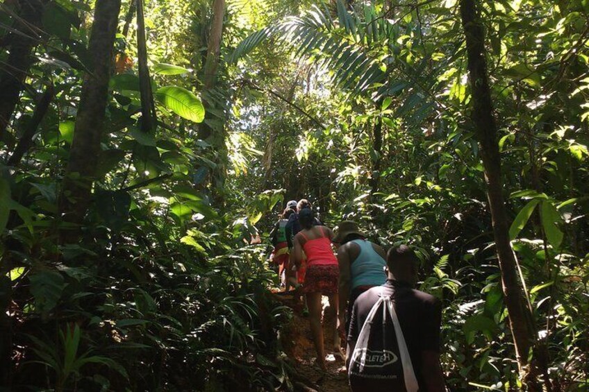Rivering and Tubing in San Cipriano