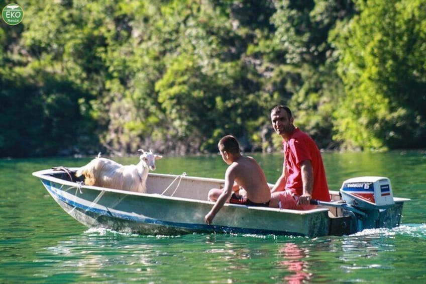 Komani Lake and Shala River Tour