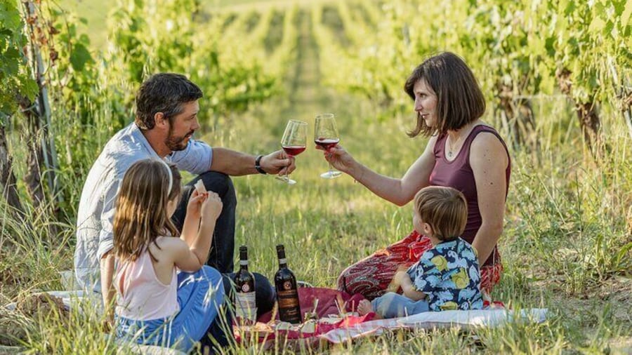 Picnic in the Organic Vineyards of Brunello