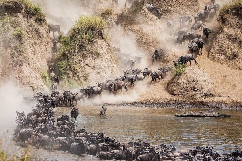 4-Day Masai Mara Safari Tour Kenya