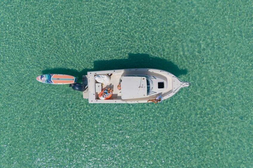 Destin Dolphin and Snorkeling Adventure Speedboat Tour