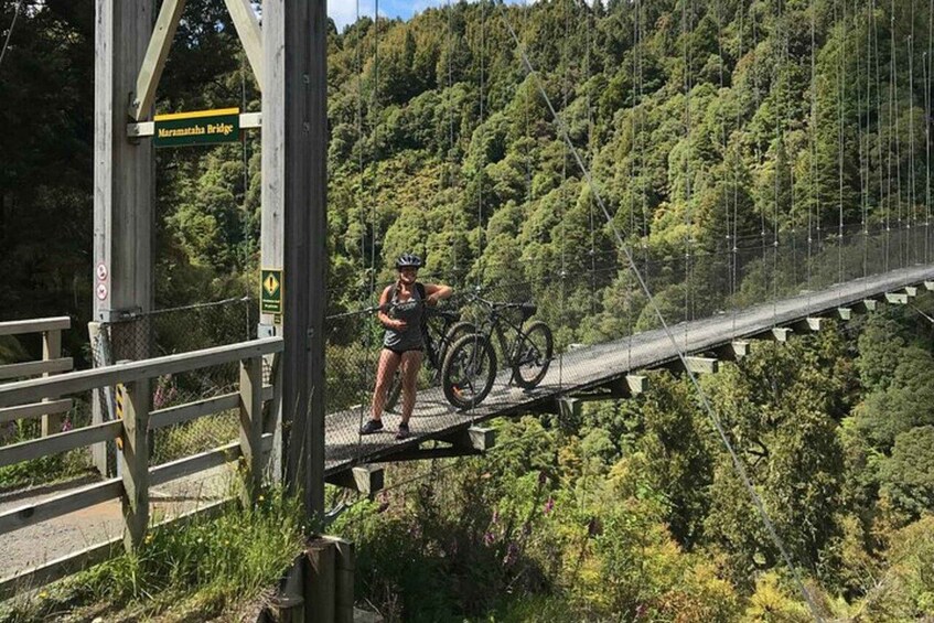 Picture 3 for Activity Mountain Bike Timber Trail Ongarue-Pureora Shuttle 2 Day