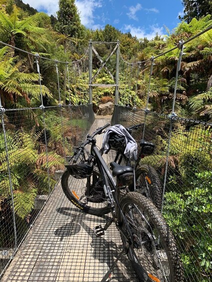 Picture 2 for Activity Mountain Bike Timber Trail Ongarue-Pureora Shuttle 2 Day