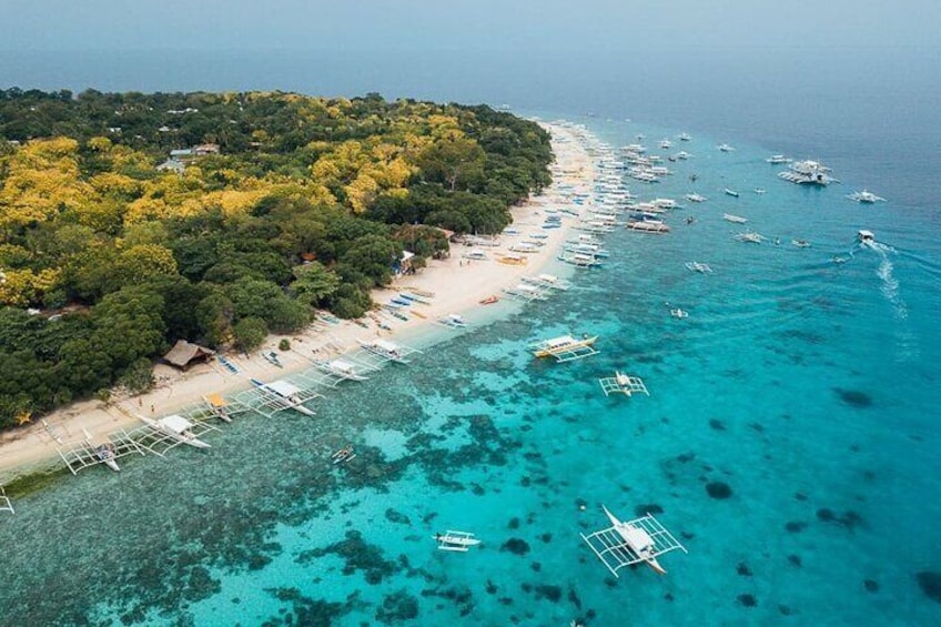 Balicasag Island hopping