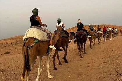 Agafay Desert Sunset Camel Ride and Dinner Experience