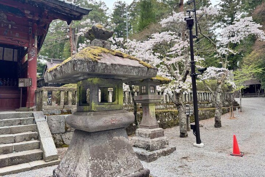Mount Fuji Private Car Tour