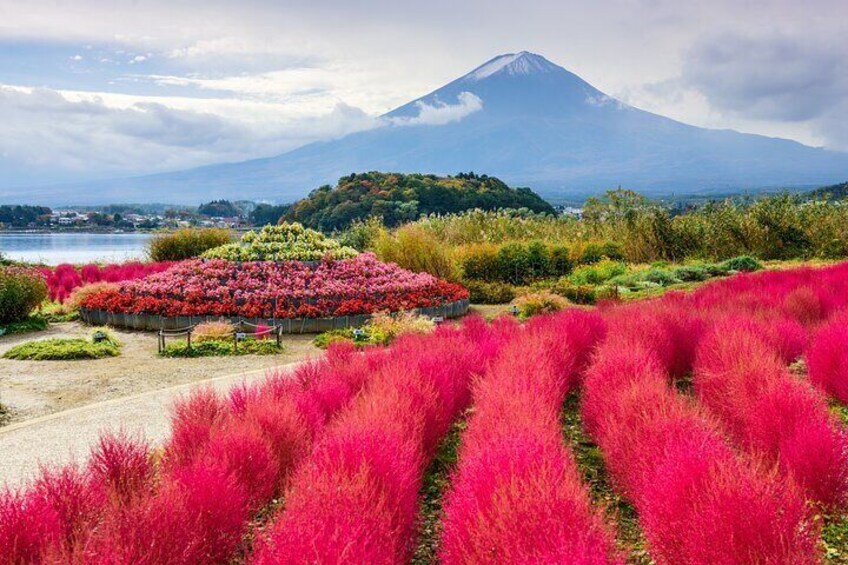 Mount Fuji Tour