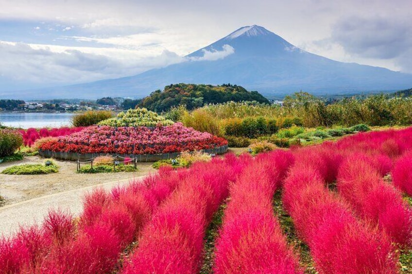 Mount Fuji Tour