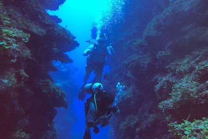 Dive into Ambergris Caye Belize Barrier Reef in Small Group