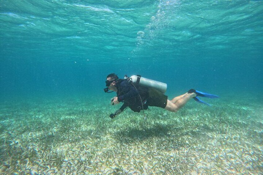 Relaxing Diving day