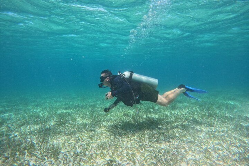 Relaxing Diving day