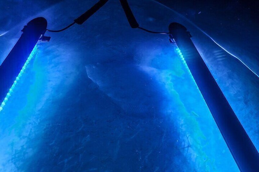 Glowing Kayak Tour Port O'Connor - Bar Room Bay
