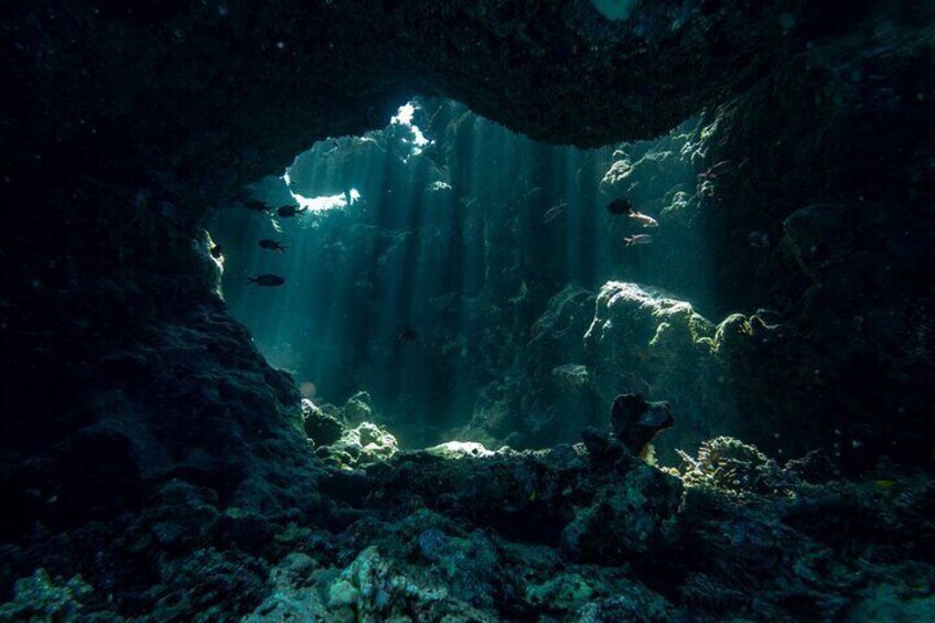 The Magic of Sunlight Beneath the Surface