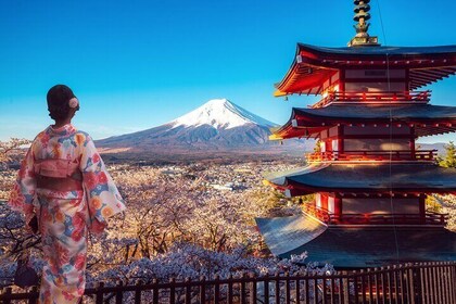 富士山/川口东京定制私家包车