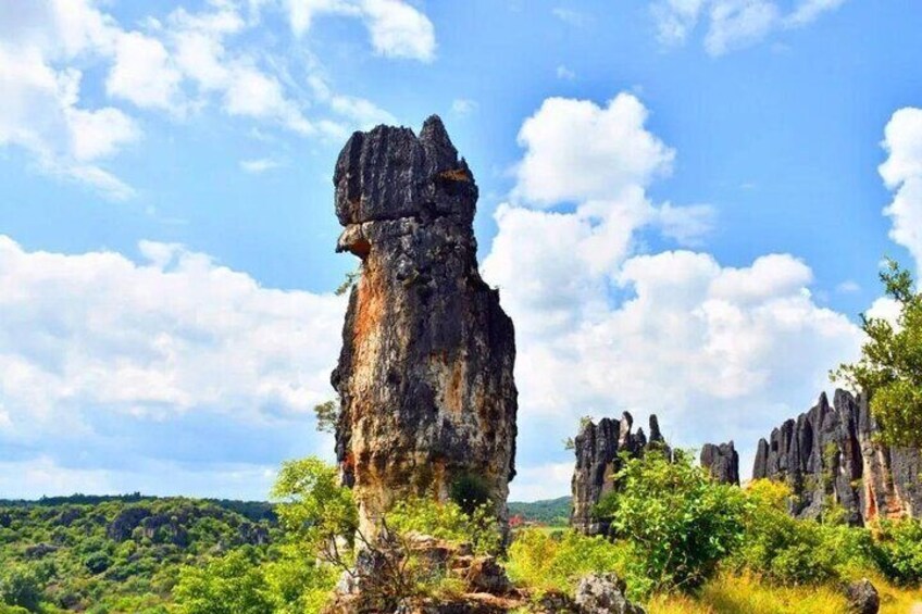 All Inclusive Kunming Tour to Stone Forest,Flower and Bird Market
