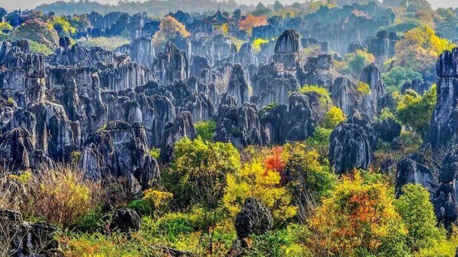 All Inclusive Kunming Tour to Stone Forest,Flower and Bird Market