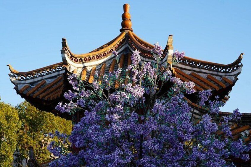 All Inclusive Kunming Tour to Stone Forest,Flower and Bird Market
