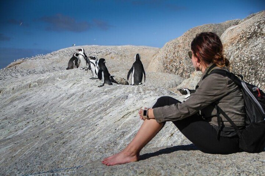 Full-Day Cape Peninsula Tour from Cape Town