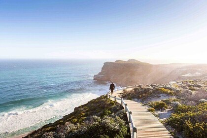 Full-Day Cape Peninsula Tour from Cape Town