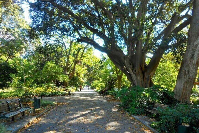 Full-Day Cape Peninsula Tour from Cape Town