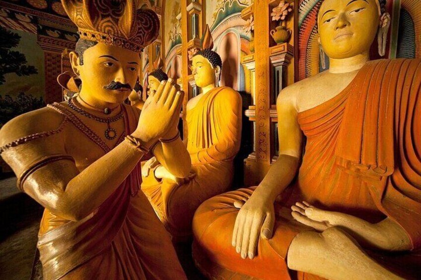 9 Days in Sri Lanka: Safari, Beaches, Forests, and Shopping
