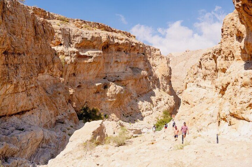 Muscat Tour: Off-Roading Adventure by 4WD