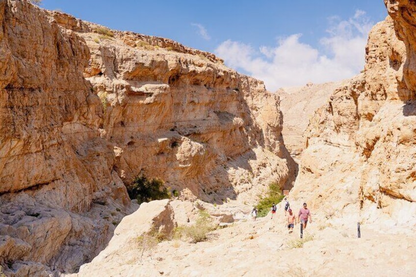 Muscat Tour: Off-Roading Adventure by 4WD
