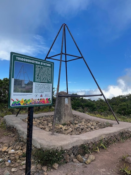 Picture 1 for Activity Kingston: Blue Mountain Peak Hike and Coffee Farm Experience