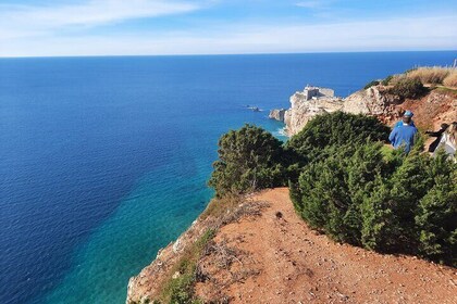 From Lisbon: Small Group Tour of Sintra Nazaré Obidos