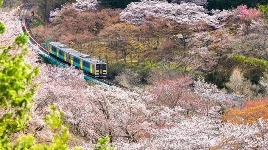 North Ibaraki Tour Lunch & Entrance fee included