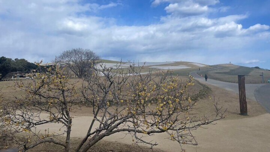 North Ibaraki Tour Lunch & Entrance fee included