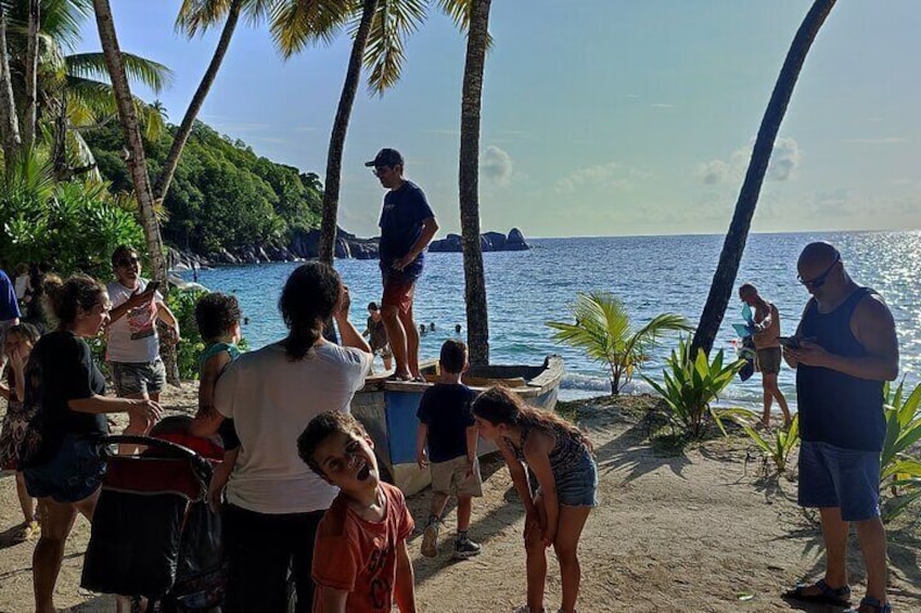 Private Day Tour in Seychelles