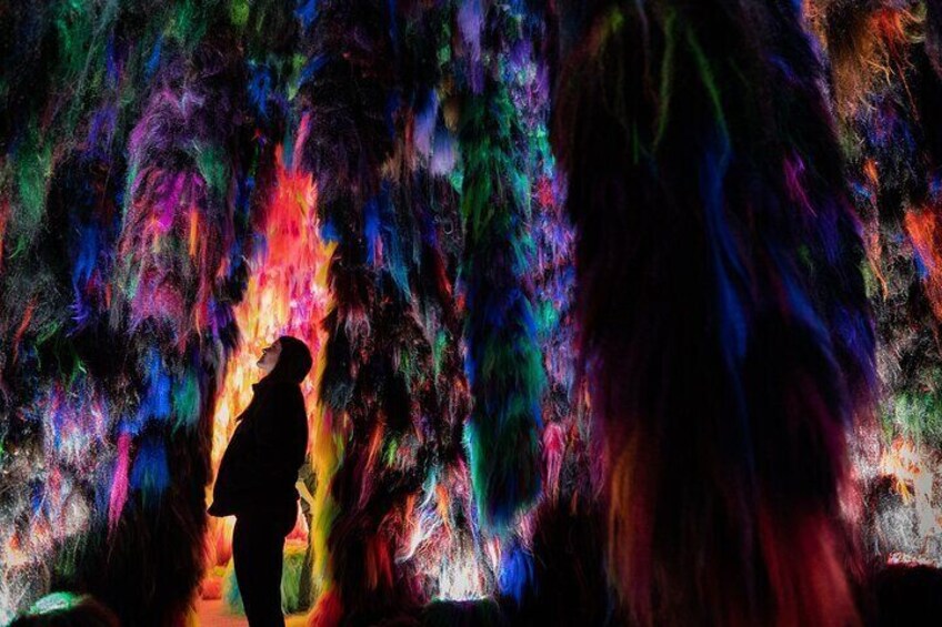 Chromo Sapiens installation