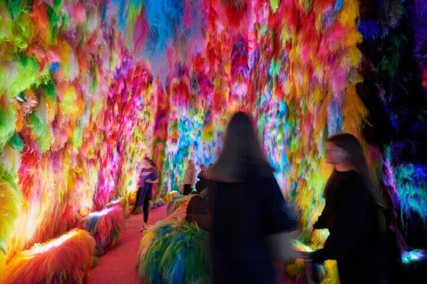Chromo Sapiens installation