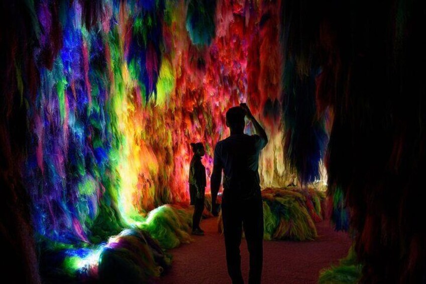 Chromo Sapiens installation