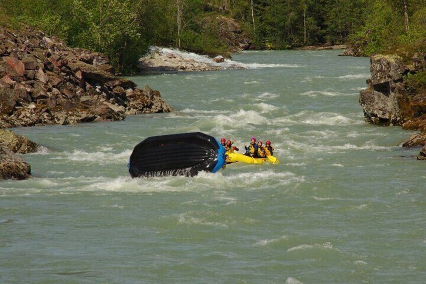 Elvepurka Grade III Whitewater Rafting