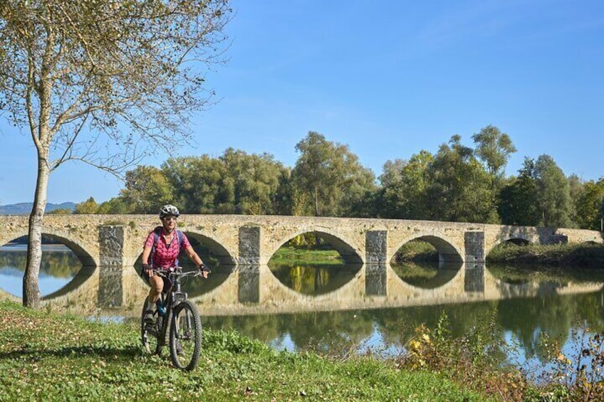 Lucca to Pisa Private E-Bike Tour + PickUp & DropOff by Van