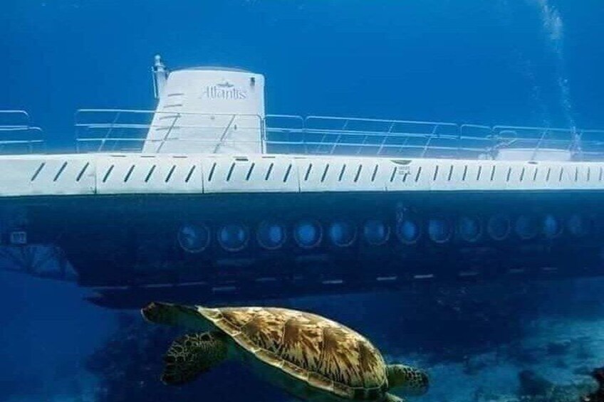 Cozumel Underwater Tour from Cancun 